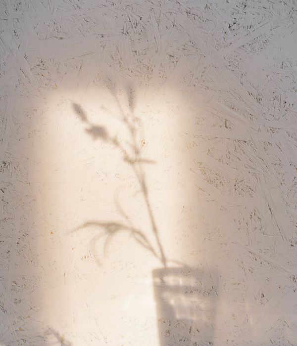 Minimalist and calm space for a yoga practice with natural light.